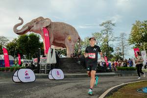 BIB: 
                            <button type="button" onclick="openModal(26529165)" class="btn btn-primary btn-sm float-right btn-popup" data-toggle="modal" data-target=".modal-high-quality">
                        <i class="fas fa-shopping-cart"></i> Add to Cart
                    </button>
                                            <button type="button" onclick="isThisMe(26529165, true)" class="btn btn-success btn-sm float-right btn-popup btn-isme hidden" data-toggle="tooltip" data-placement="bottom" title="นี่คือรูปของคุณใช่ไหม คลิกที่นี่เพื่อเอาเข้าอัลบั้ม">
                        <i class="fas fa-plus"></i> Add to album
                    </button>
                    <button type="button" onclick="isThisMe(26529165, false)" class="btn btn-warning btn-sm float-right btn-popup btn-isnotme hidden">
                        <i class="fas fa-ban"></i> Remove from album
                    </button>